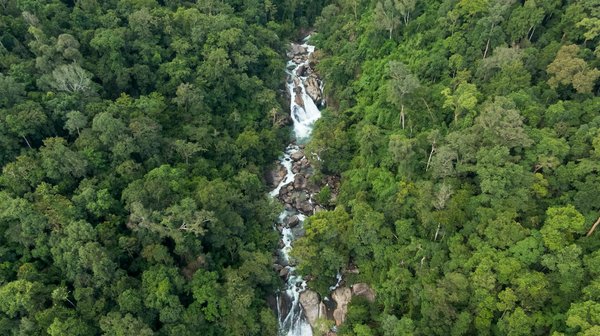 Gagnez du temps et de l'efficacité avec les logiciels de gestion SaaS