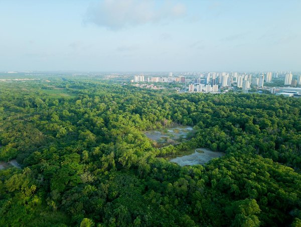 Réussissez en ligne : création site internet à La Réunion