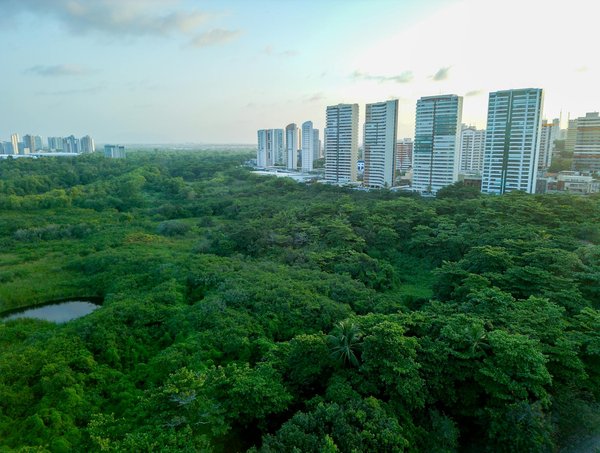 Les étapes clés pour réussir votre voyage en Antarctique