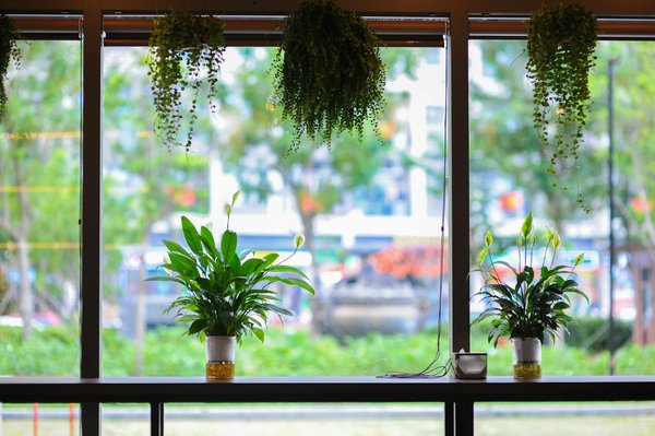 La nutrition sportive : un levier pour maximiser vos performances