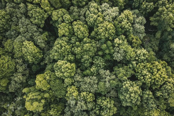 Boostez votre confiance en soi avec des astuces pratiques